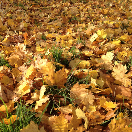 Profile: Paul Goodey