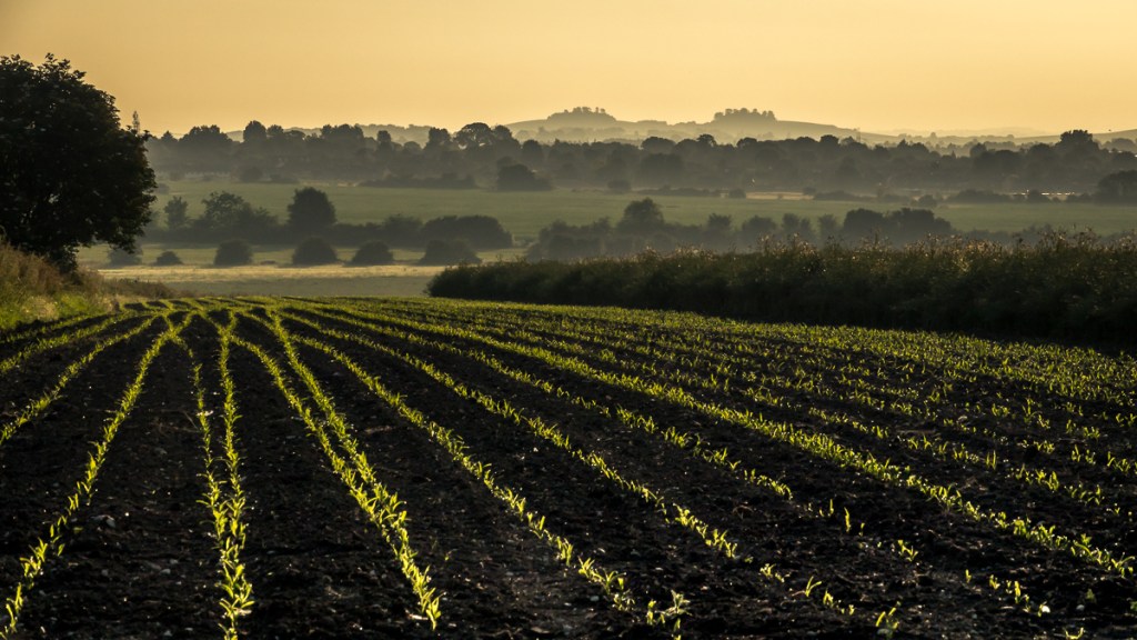 LANDSCAPE exhibition: Meet the Artist, 21 May 2016&nbsp;11:00-13:00