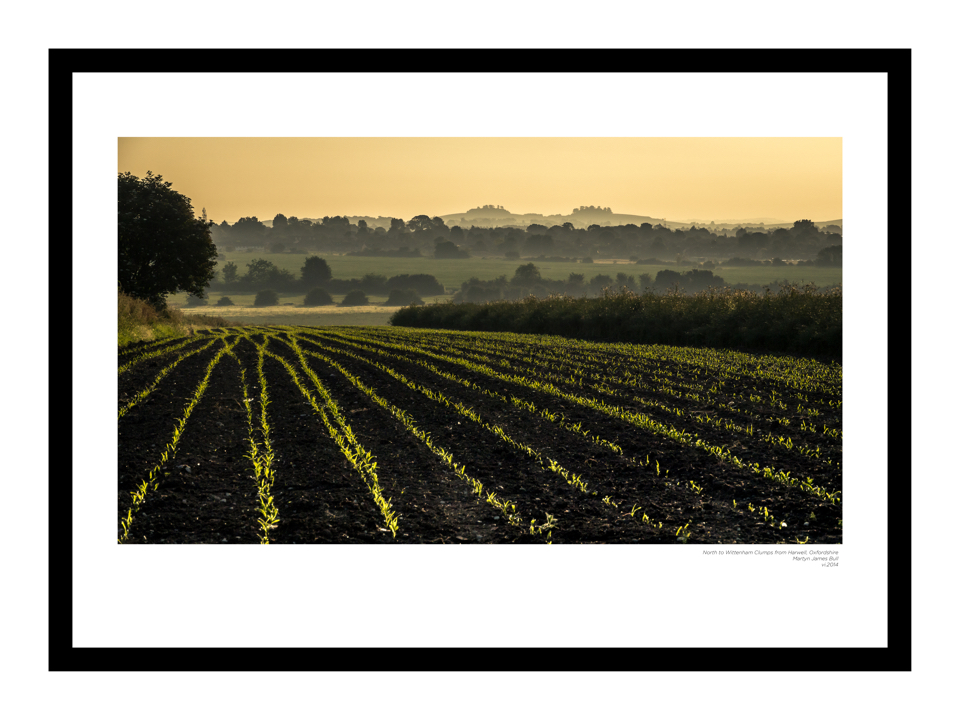 North to Wittenham Clumps