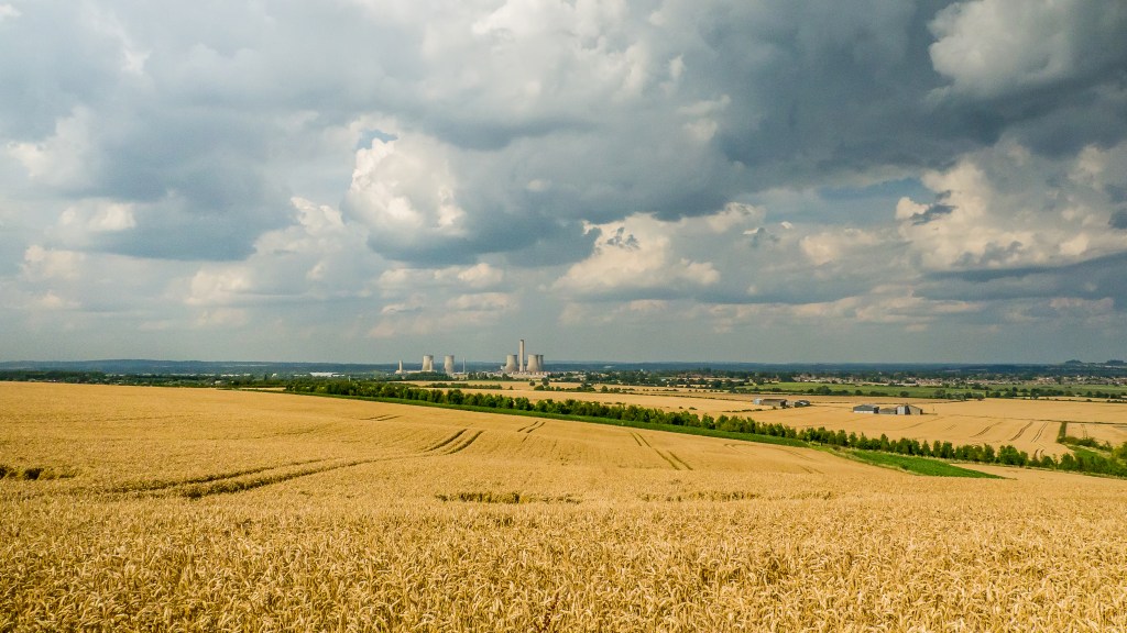 White cooling towers on horizon with yellow fields of wheat in foreground